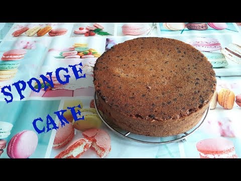 sponge-cake-aux-pépites-de-chocolat