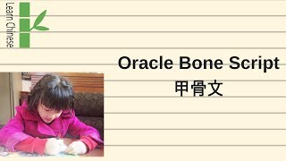 17/100 Oracle Bone Script - 甲骨文
