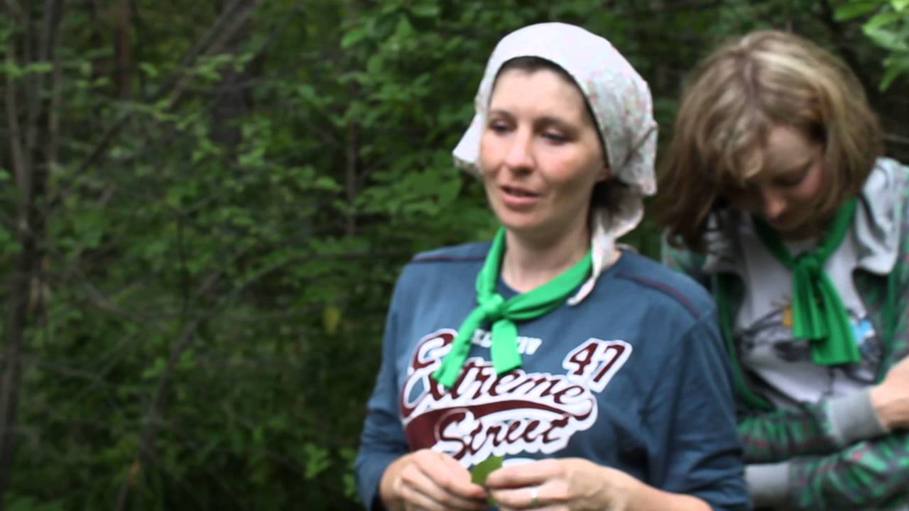 Рекламный Веревочный курс (тимбилдинг) - YouTube