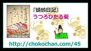 蜻蛉日記 うつろひたる菊 現代語訳 藤原の道綱の母作 おもしろい よくわかる古文 ハイスクールサポート