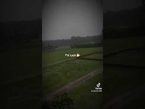 বৃষ্টির দিনের এক টুকরো ব্যাকগ্রাউন্ড পিস। 🍃 #RainyDay #MonsoonVibes #TikTokRain #Aesthetic #Peaceful