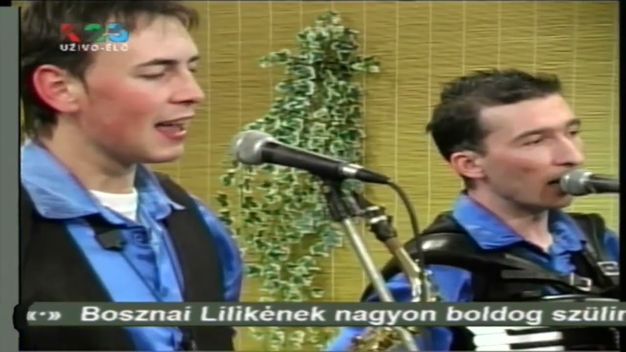 Csokai Cimborák-Egy kicsi ház van a domb tetején.