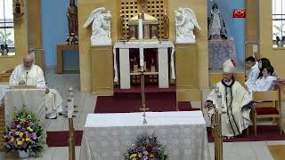 III Domingo de Pascua
