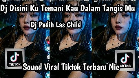 DJ DISINI KU TEMANI KAU DALAM TANGISMU DJ PEDIH LAS CHILD SOUND VIRAL TIKTOK TERBARU NIE