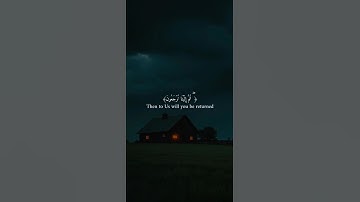 اكتب شيء تؤجر عليه 😴🤍 قران كريم | عبد الرحمن مسعد