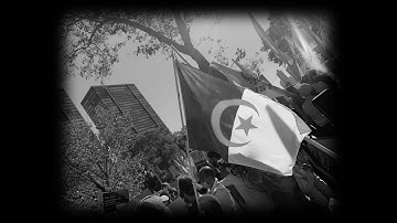 An Overview of the Algerian Case Under the Universal Periodic Review Process  1 of 6