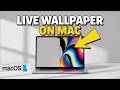 How to Get Live Wallpapers on MacBook | Easy Setup Guide (2026)