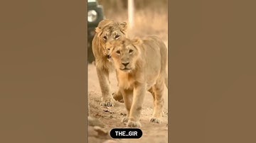 Devayat Khavad Whatsapp status