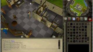 BRADSCAPE 317 server. pking. ownagee! 24/7! dedi!
