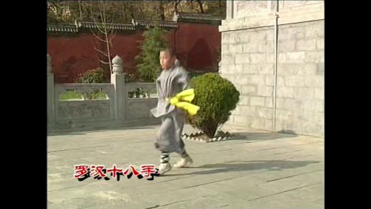 Shaolin Tong Bei Quan Martial Arts Kung Fu YouTube