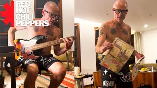 Flea (Red Hot Chili Peppers) - Jam in Hotel (November 12) (São Paulo, Brasil 2023)