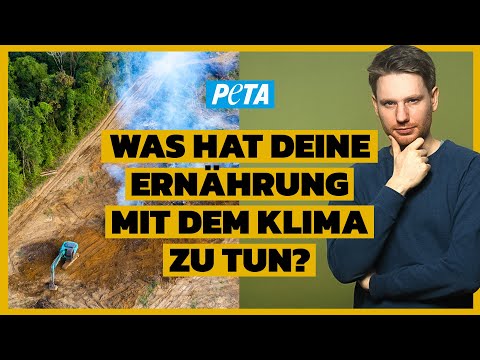 Klimawandel: wie die Tierindustrie die Umwelt zerstört!