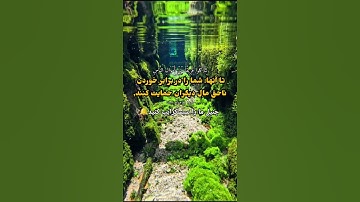سوره بقره آیه ۱۸۸،، قرآن بهترین راه برای راهنمایی و هدایت بشر است.