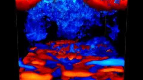 LCSE Simulation - Penetrative Convection