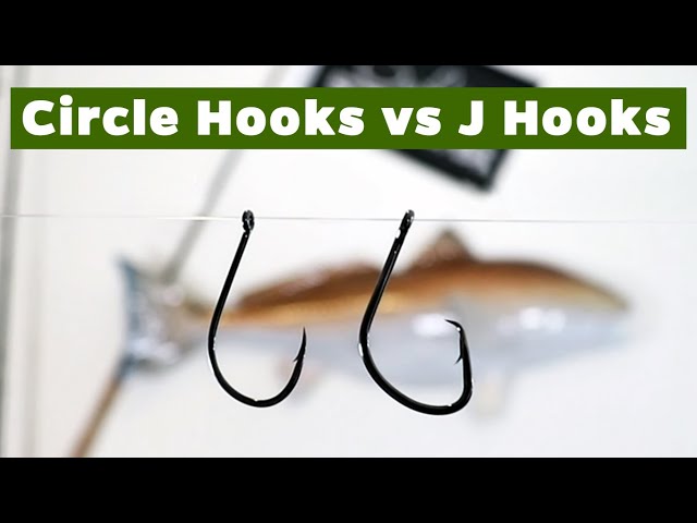 Circle Hooks vs. J Hooks: When To Use Each Hook When Fishing With