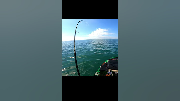SURFACE ATTACK MAKES THE FISHERMAN'S HEART SPEED UP #fishing #shorts