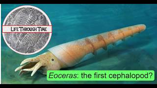 Eoceras and the origin of cephalopod molluscs