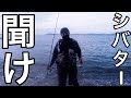 シバターを救いたい