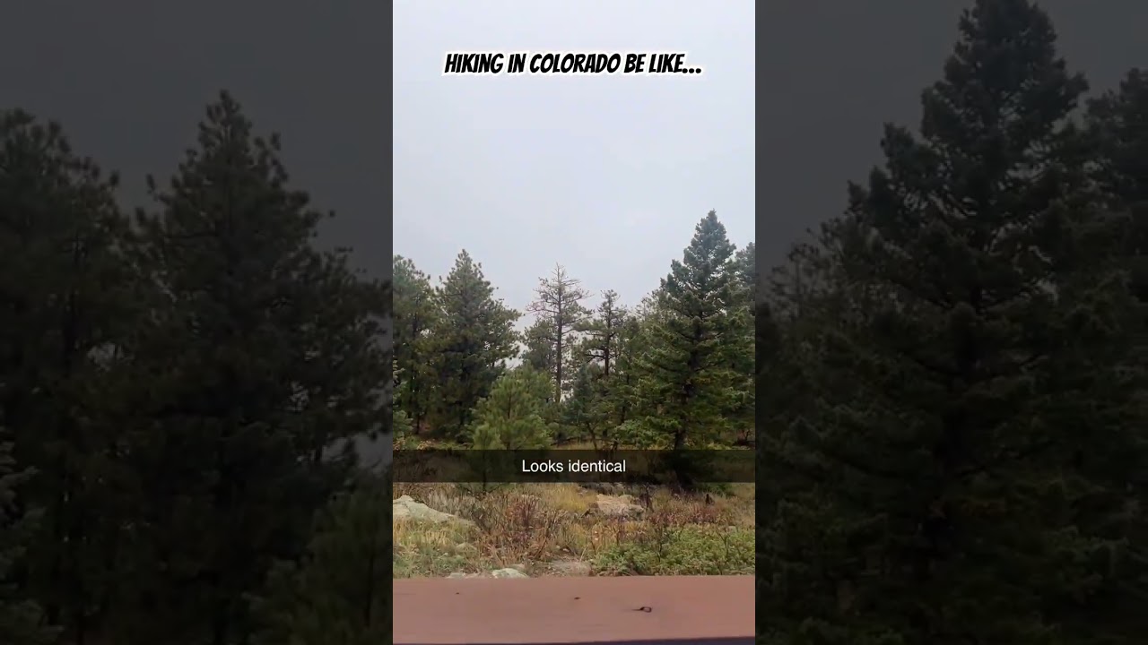 поход это как... 