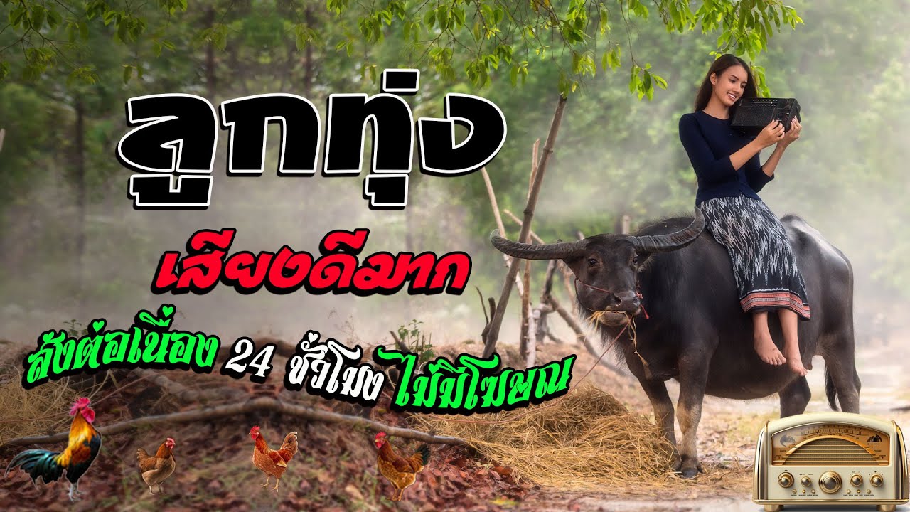 ลูกทุ่งเพราะมาก : ลูกทุ่งเพลงเพราะ100% คัดมาพิเศษ - ฟังต่อเนื่อง 24 ชั่วโมง❤ ไม่มีโฆษณา