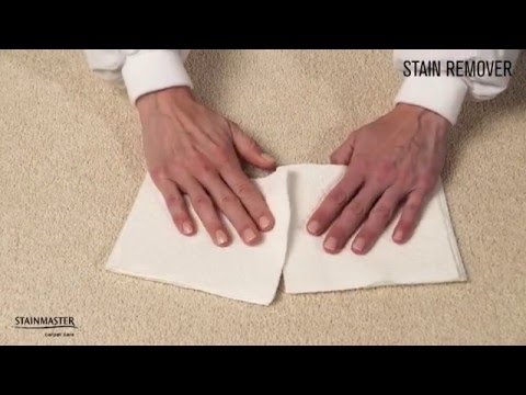 Win Against Stains with STAINMASTER™ Stain Removers