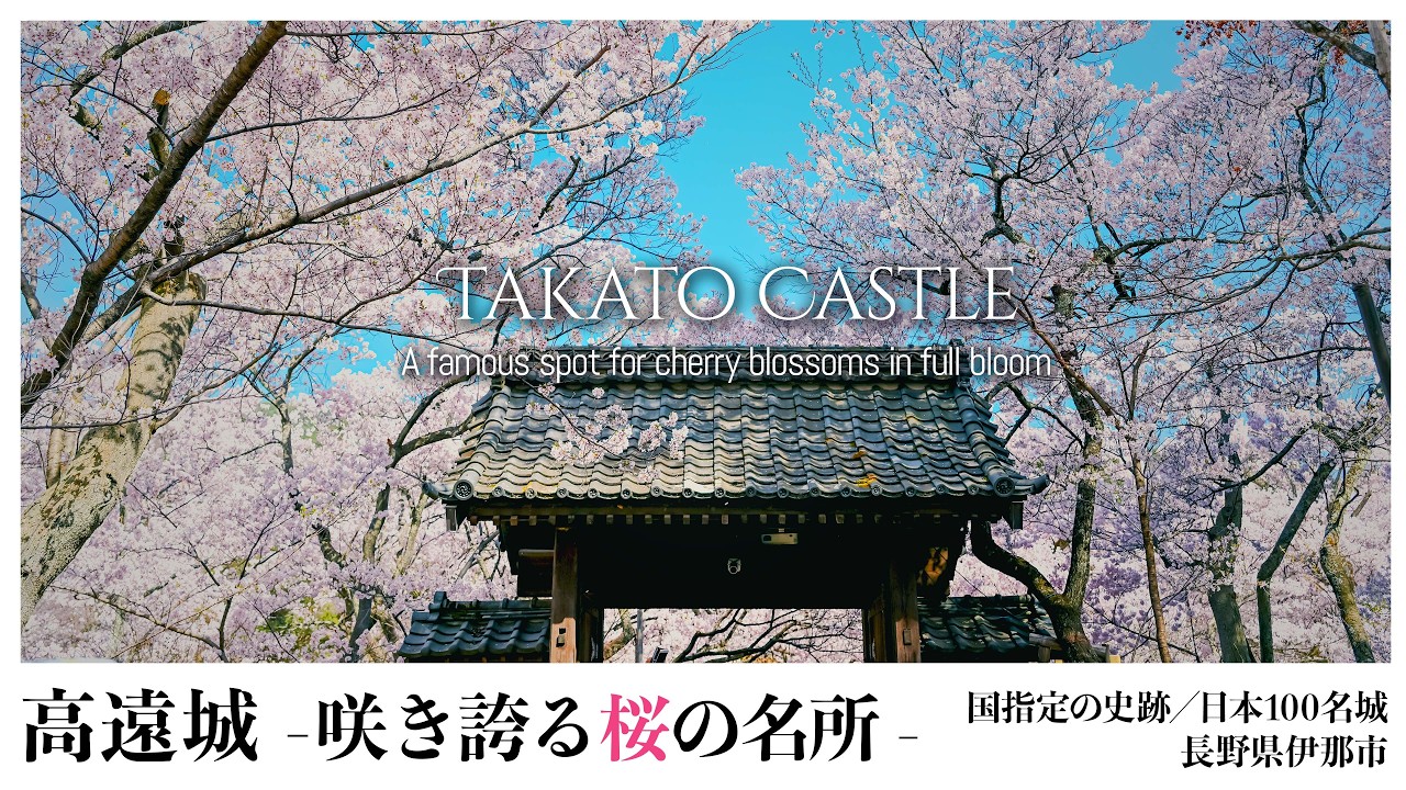 長野／日本100名城】高遠城／咲き誇る桜の名所 - Takato Castle / A 
