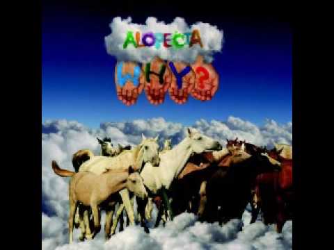 A Sky For Shoeing Horses Under Video
