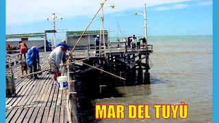 Mar del Tuyú-Historia-Argentina-Producciones Vicari.(Juan Franco Lazzarini)