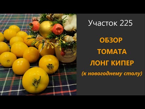 Видео: Tomato Long Keeper: описание на сорта, рецензии