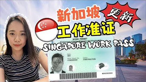 🇸🇬全世界頂尖人才沖著來！｜新加坡工作！工作準證WP/SP/EP 全解析 Singapore work visa 2022/2023 - 天天要聞