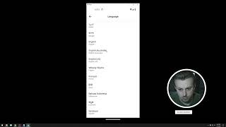 How to change language in inDrive App screenshot 4