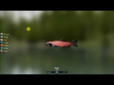 Кижуч, ловля кижуча в игре Трофейная рыбалка 2
