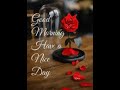 Good morning all frnds