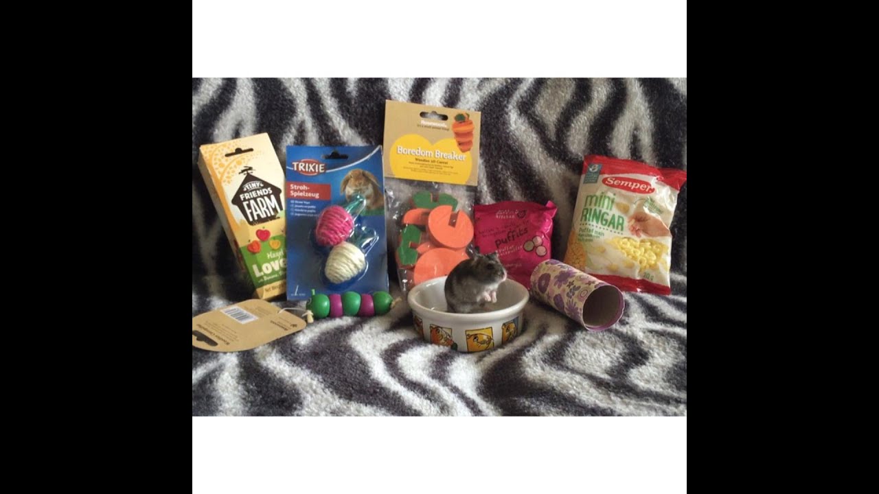 Trade Unboxing! Hamster/Guinea Pig!