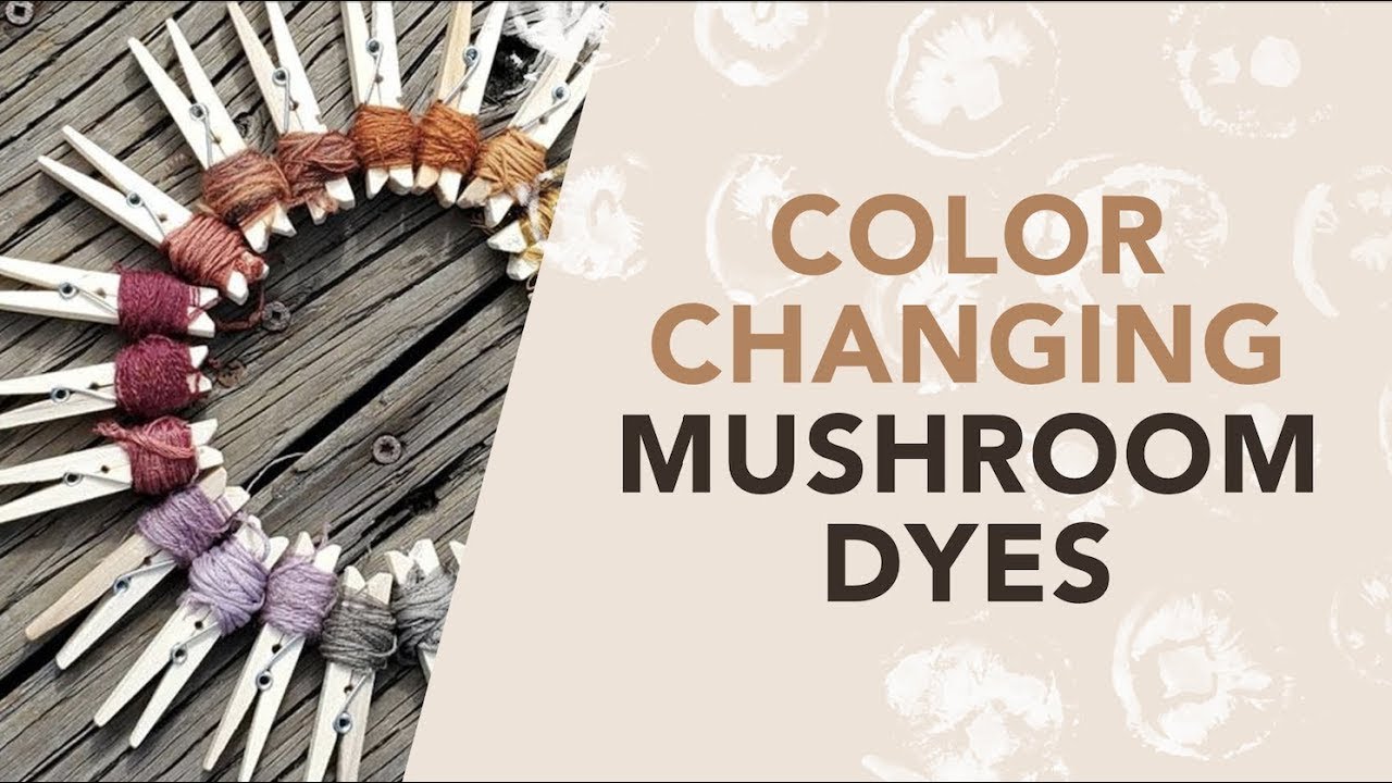 Color Changing Dye: Natural Fabric Dye with Mushrooms - YouTube