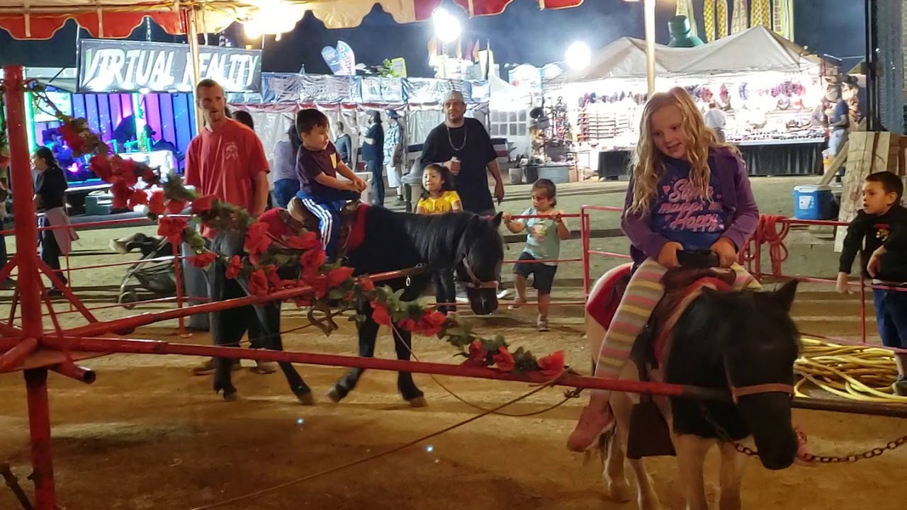 Roman's First Pony Ride! 