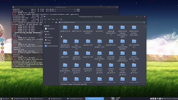 ArcoLinux : 1204 practical pacman tips - fix corrupted pacman database