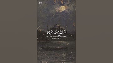 سورة القيامة بصوت الشيخ براك الشمري ❤️❤️