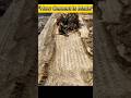 "Secrets Behind Cement Production"#short#fact