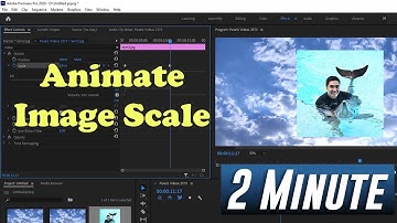Adobe Premiere Pro: How to Animate Increasing Image Size (Animate Scale)