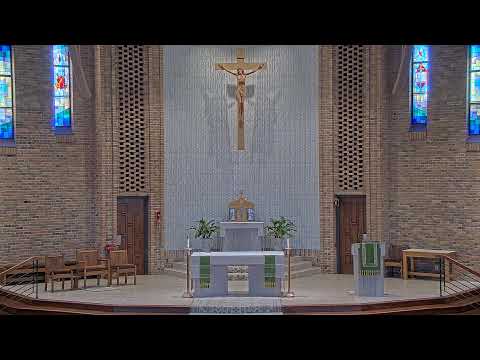 Sunday Mass - 11 AM - 01/18/2026