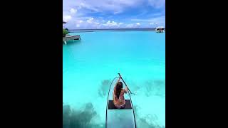 #transparent  #supboard  #clear  #paddleboard #super