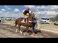 el superman cuadra carreras vs el tejon cuadra amaros