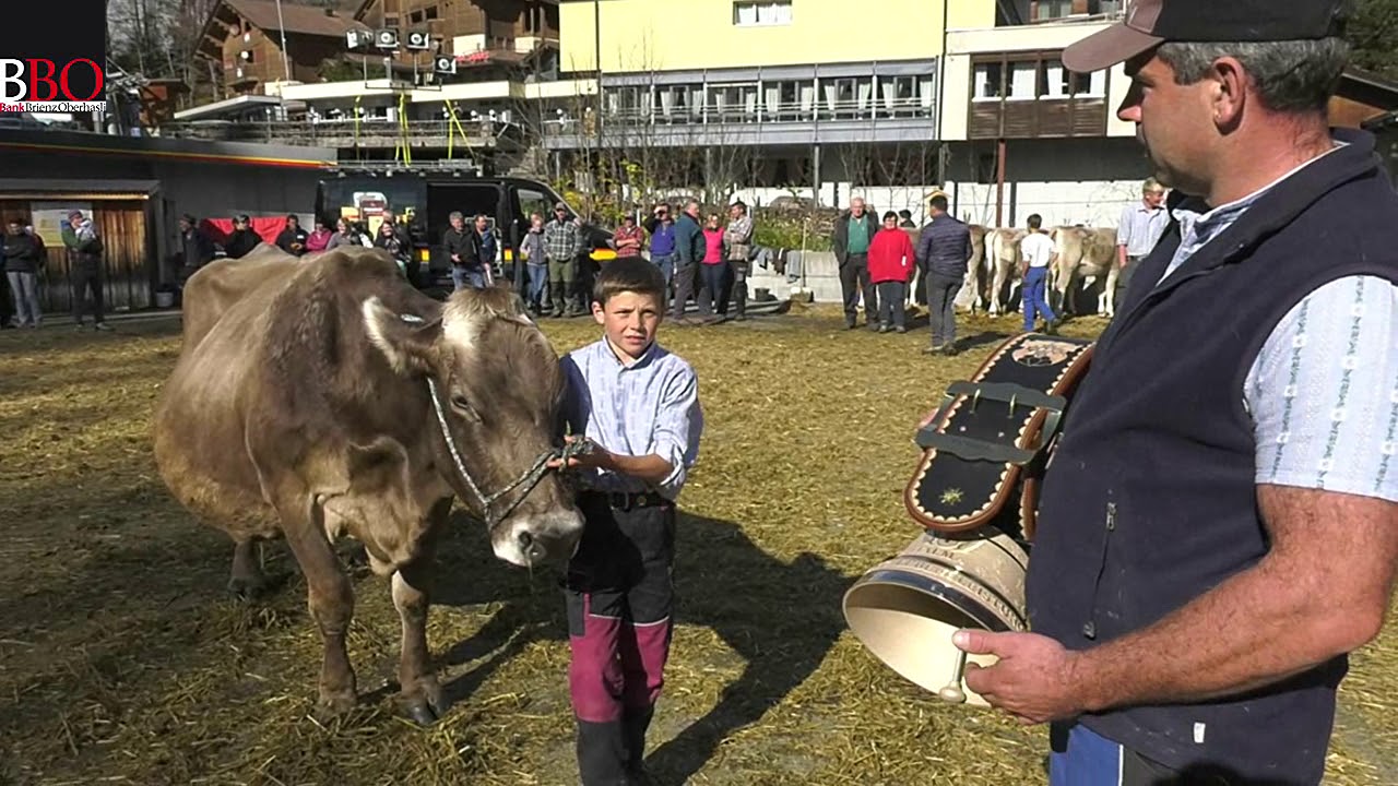 Viehschau Hasliberg 2017