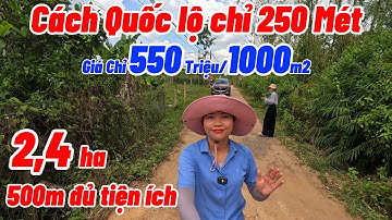Nhà Vườn Sầu Riêng Ao Cá Chuồng Trại Góc 2 Mặt Tiền Gần Quốc lộ GIÁ CỰC RẺ | NHÀ ĐẤT ĐỒNG NAI GIÁ RẺ