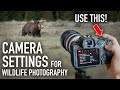 3 camera settings wildlife photographers should always use