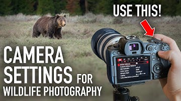 3 Camera Settings Wildlife Photographers Should ALWAYS Use
