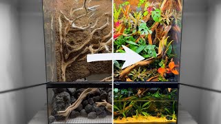 How to Build the Ultimate Paludarium by Dr. Plants 2 months ago 13 minutes, 8 seconds 511,574 views