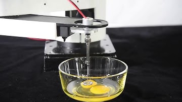 Egg Beating with  Dobot M1, Professional Robotic Arm