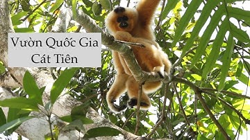 Vườn Quốc Gia Cát Tiên | Vietnam Travel | 2022